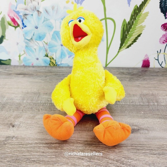 Sea World Sesame Place Big Bird Plush 12" Stuffed Animal 2019 Seaworld - Picture 2 of 7